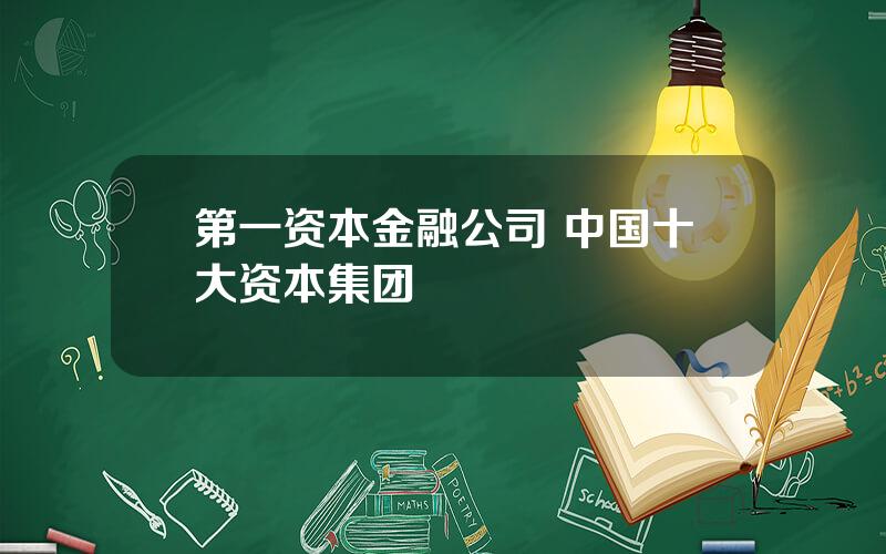 第一资本金融公司 中国十大资本集团